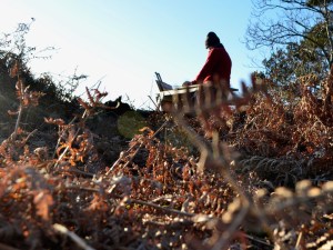 David Scott Moore painting on location